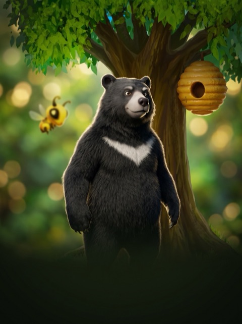 Bear Run