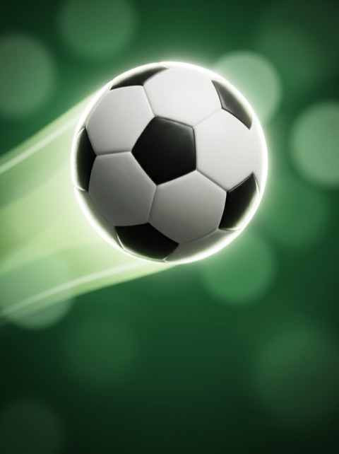 GoalX