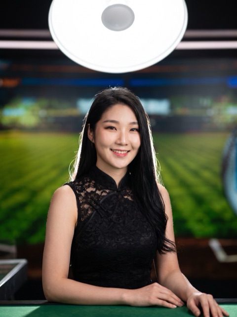 Korean Dealer Baseball Studio